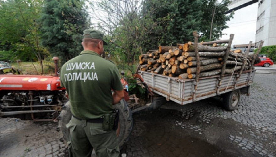 Дрвокрадци нападнале полицајци, им го слупале и возилото