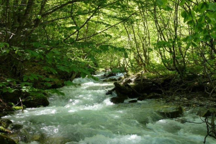 Пронајдено тело на жена во река кај Демир Капија