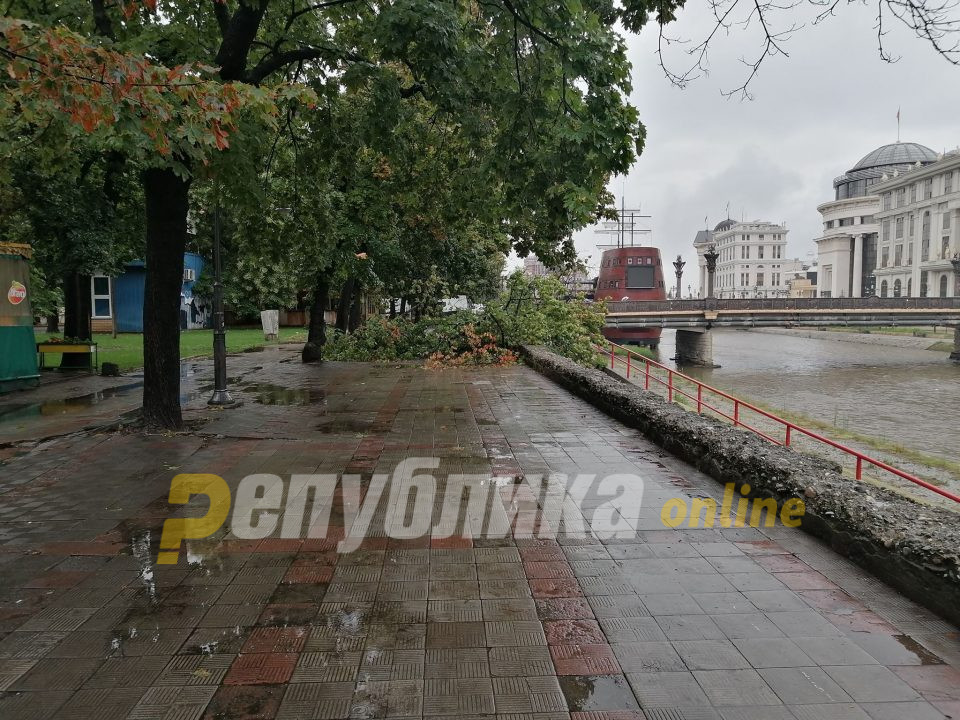 Сончево, попладне дожд, грмежи и засилен ветер