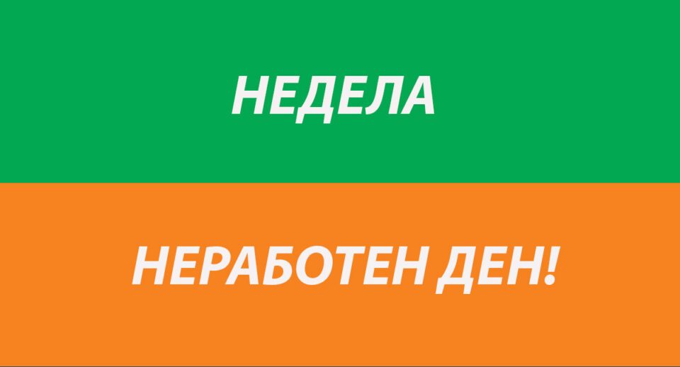 „Работа во недела” на седница на Уставен суд