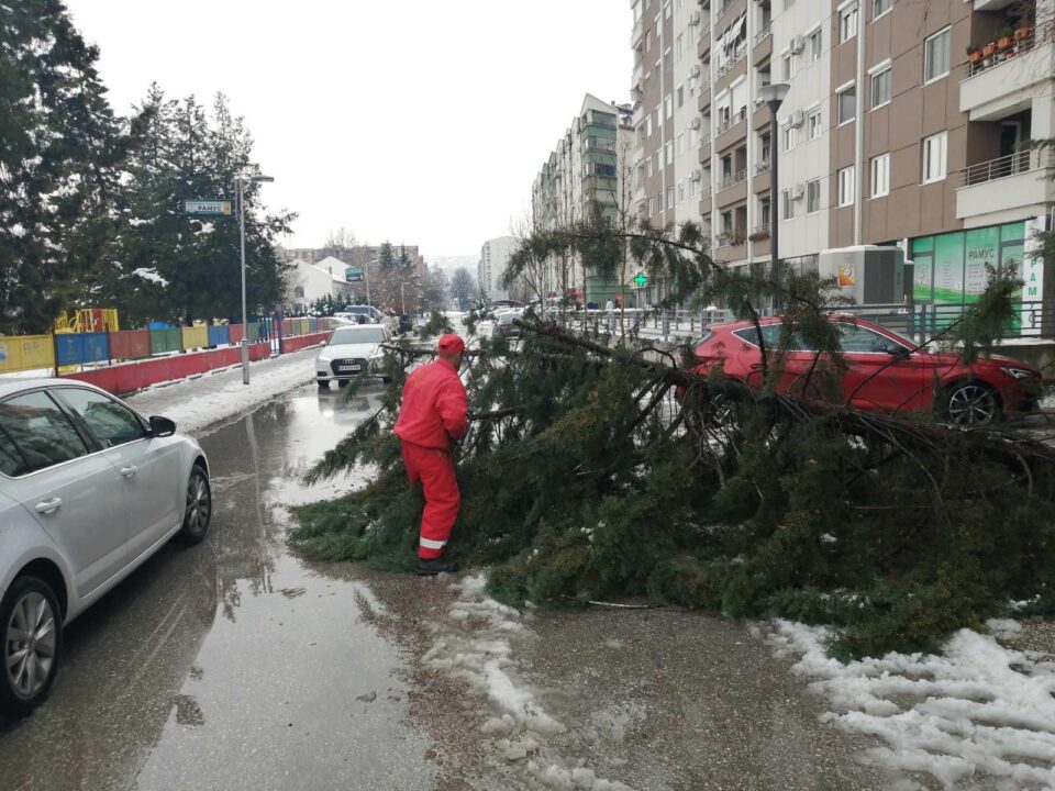 Се расчистуваат паднатите дрјва низ Аеродром, екипите на општината ќе останат на терен