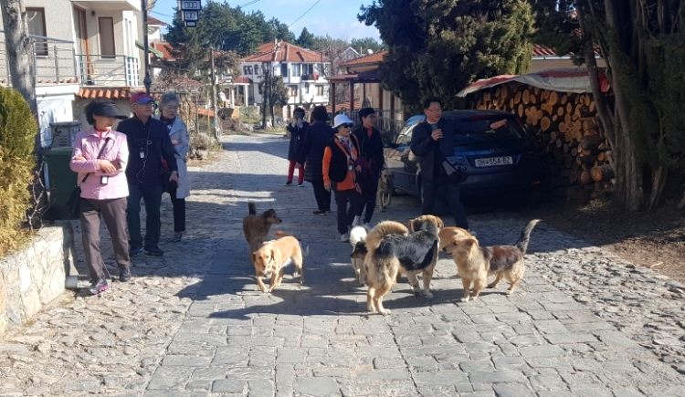 Уапсени мајка и ќерка од Кореја кои напаѓале луѓе во Охрид