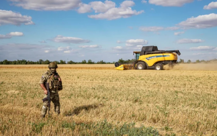 Украина во јули двојно го зголемила извозот на житарки и покрај засилените руски напади