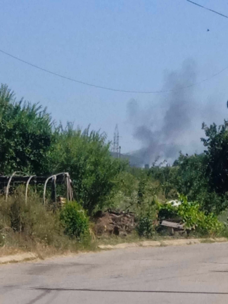 Повторно запалена депонијата Острец во Делчево