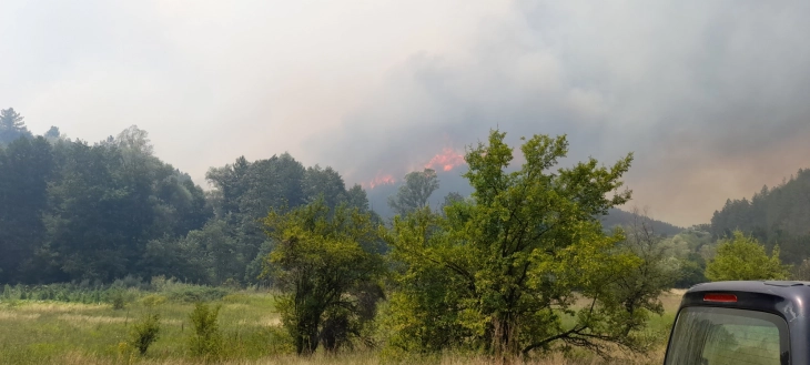 Пожар во општина Зелениково