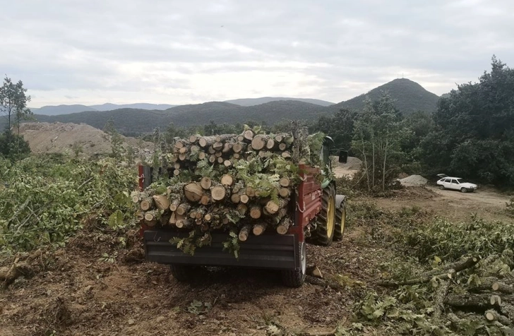 Триесетгодишник со двајца малолетници во „Лада“ пренесувале крадени дрва