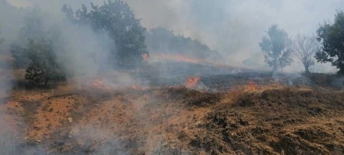 Пет пожари се активни на територија на Македонија