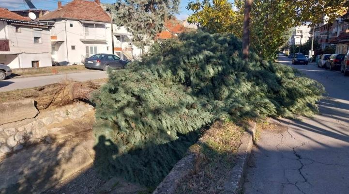 Ветерот во струмичко урна покрив, откорна дрвја и искина електрични кабли