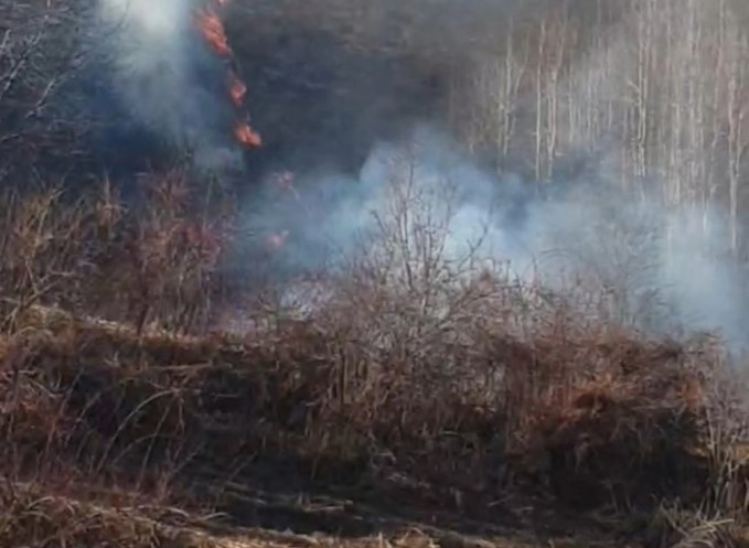 Изгаснат пожарот на отворено кај с. Лисец, пожарот над село Вешала во Општина Тетово е се уште активен