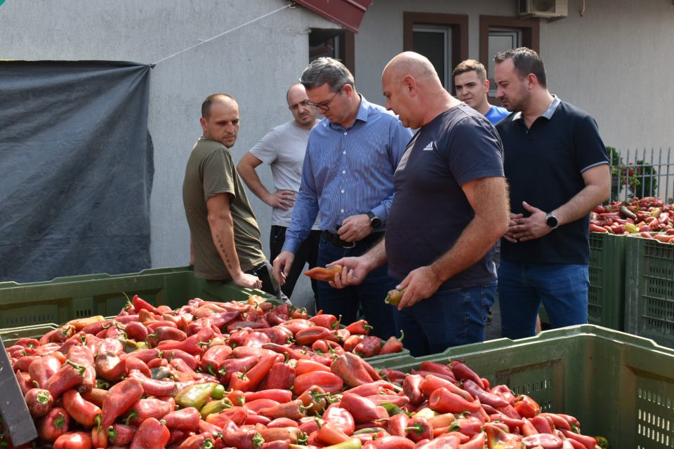 Трипуновски: Ќе го следиме откупот на пиперката до последниот килограм додека не се откупи согласно договорените цени