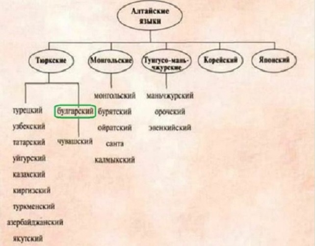 Бугарскиот јазик е од групата на турскиот, туркменистанскиот и азербејџанскиот?